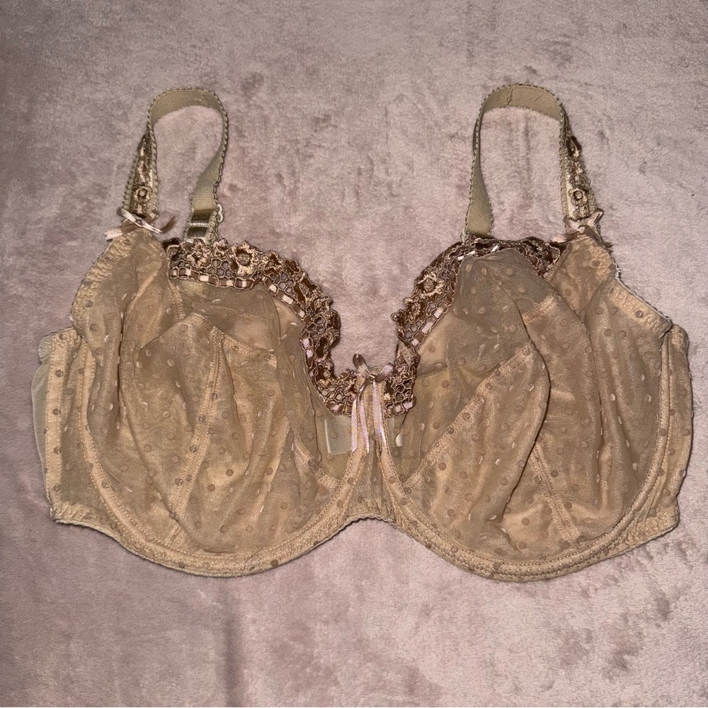Curvy kate lace bra size 38DD